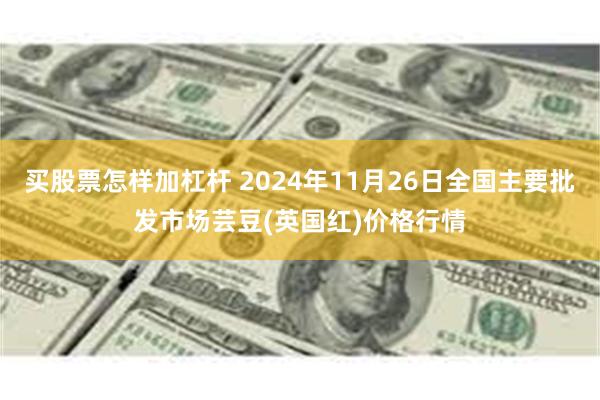 买股票怎样加杠杆 2024年11月26日全国主要批发市场芸豆(英国红)价格行情