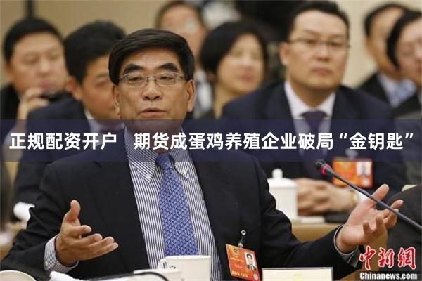 正规配资开户   期货成蛋鸡养殖企业破局“金钥匙”