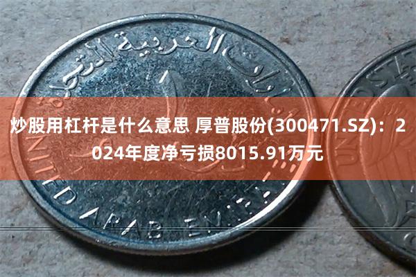 炒股用杠杆是什么意思 厚普股份(300471.SZ)：2024年度净亏损8015.91万元