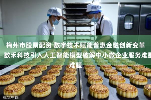 梅州市股票配资 数字技术赋能普惠金融创新变革，数禾科技引入人工智能模型破解中小微企业服务难题