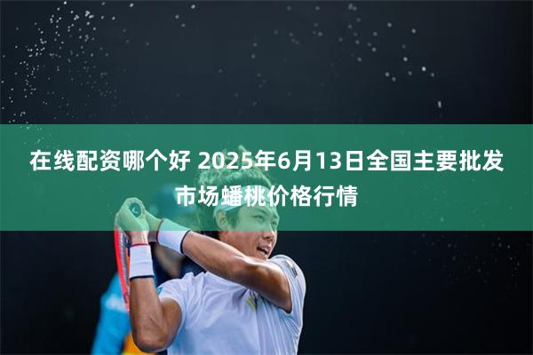 在线配资哪个好 2025年6月13日全国主要批发市场蟠桃价格行情