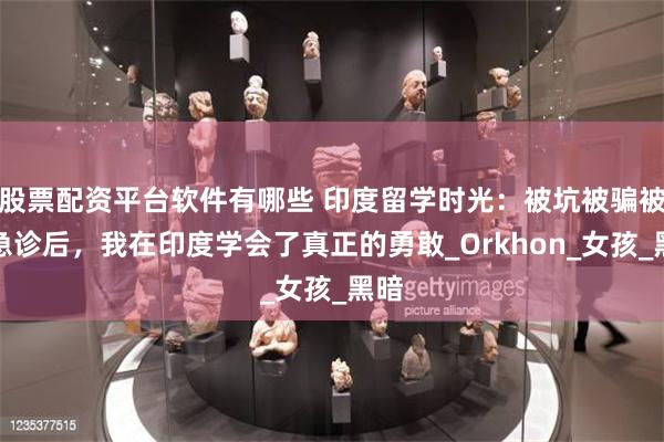 股票配资平台软件有哪些 印度留学时光：被坑被骗被送急诊后，我在印度学会了真正的勇敢_Orkhon_女孩_黑暗
